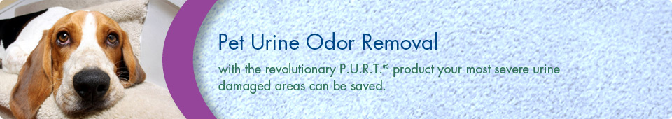 Pet Urine Odor Removal