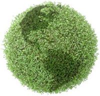 World leader in carpet cleaning