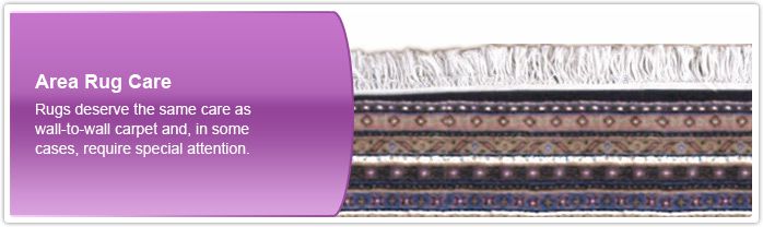 img_header_areaRugTips