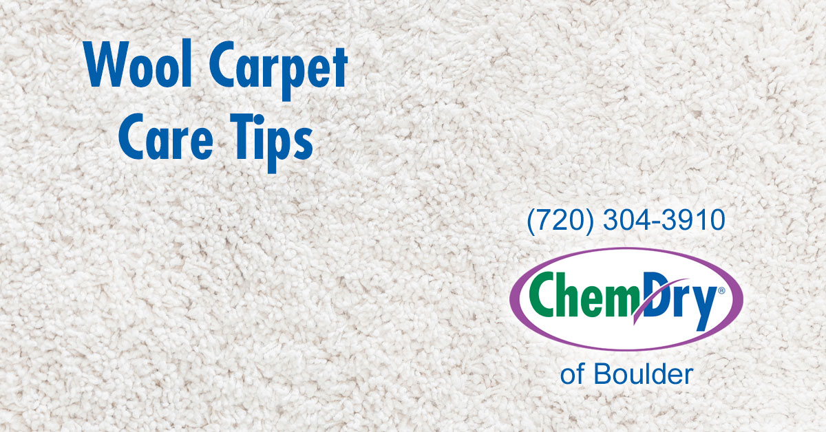 Wool Carpet Care Tips ChemDry of Boulder Drier, Cleaner & Healthier